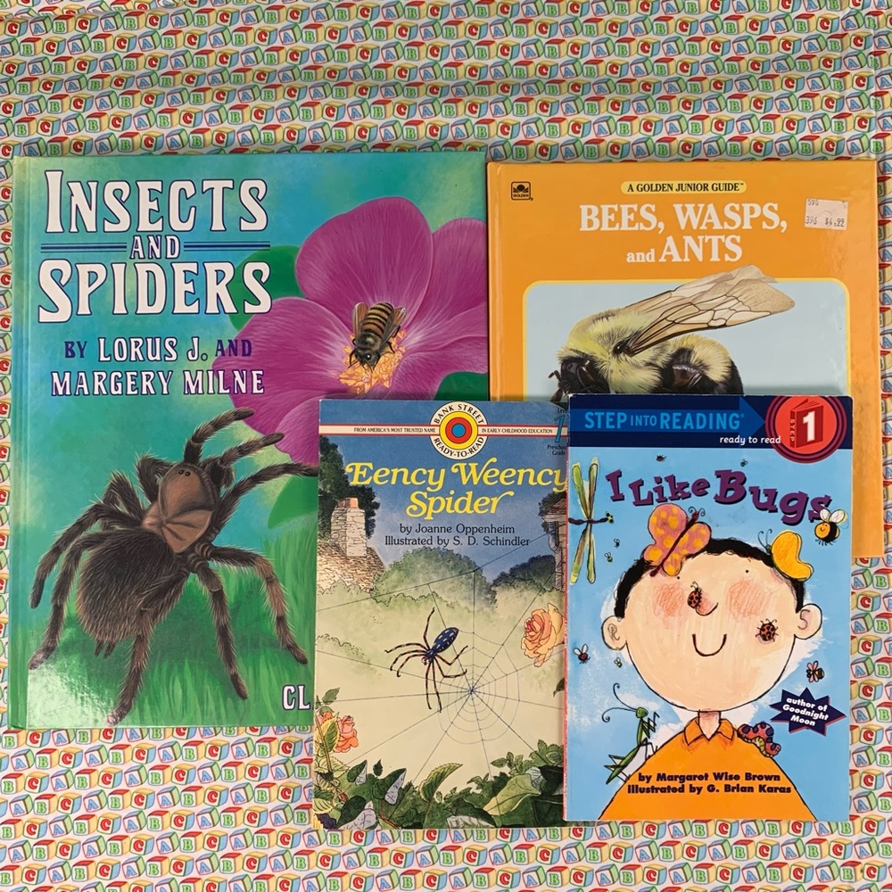 Insects, Spiders, Bees and Bug Learning Book Set.
